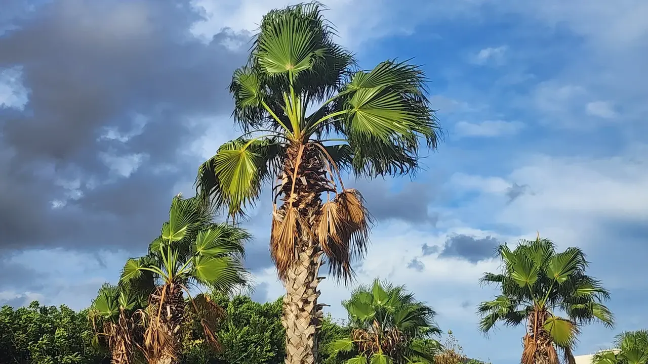 الأرصاد الجوية تتوقع تقلبات جوية في المغرب خلال أسبوع كامل من الطقس المتقلب